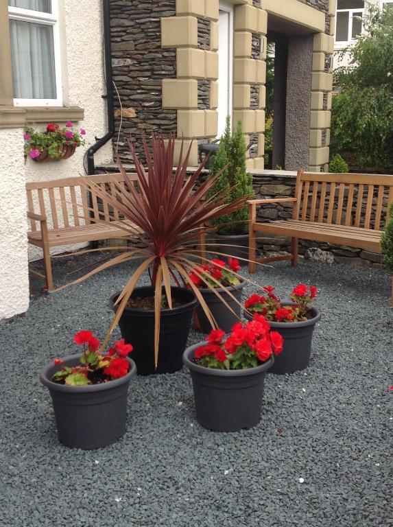 Thornbank House Offering Breakfast And With The Use Of Free Local Health Club Hotell Windermere Exteriör bild